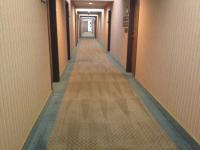 <h2>Carpet Cleaning
</h2><p></p>